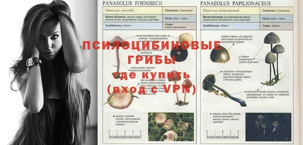 таблы Алексеевка