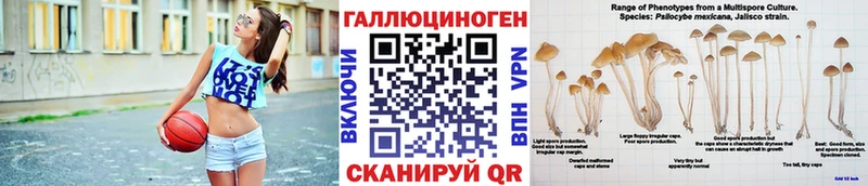 Галлюциногенные грибы Psilocybe  Хабаровск 
