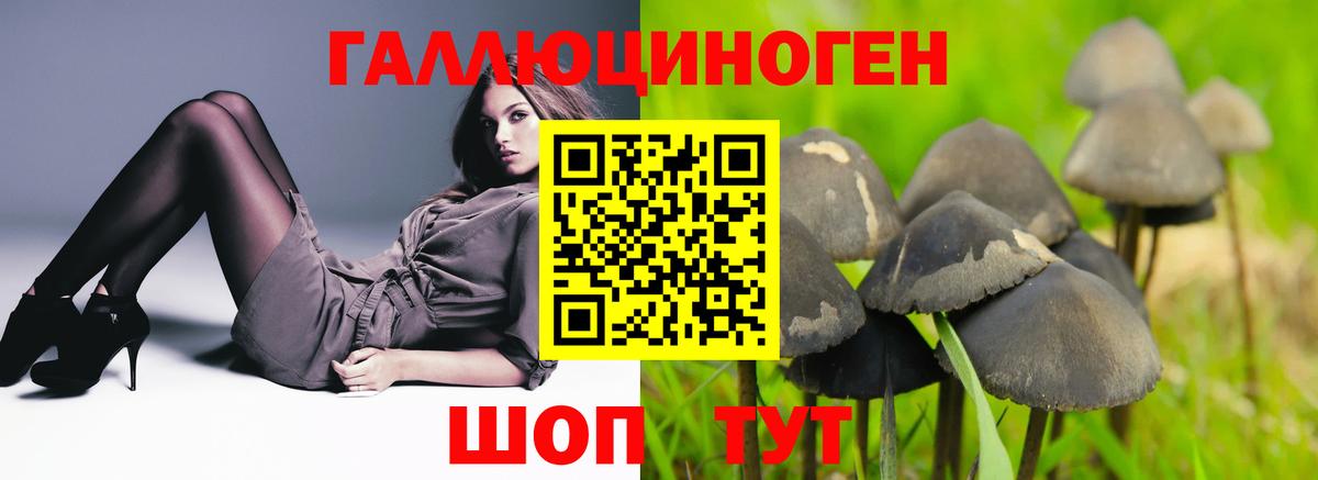 Галлюциногенные грибы ЛСД Хабаровск